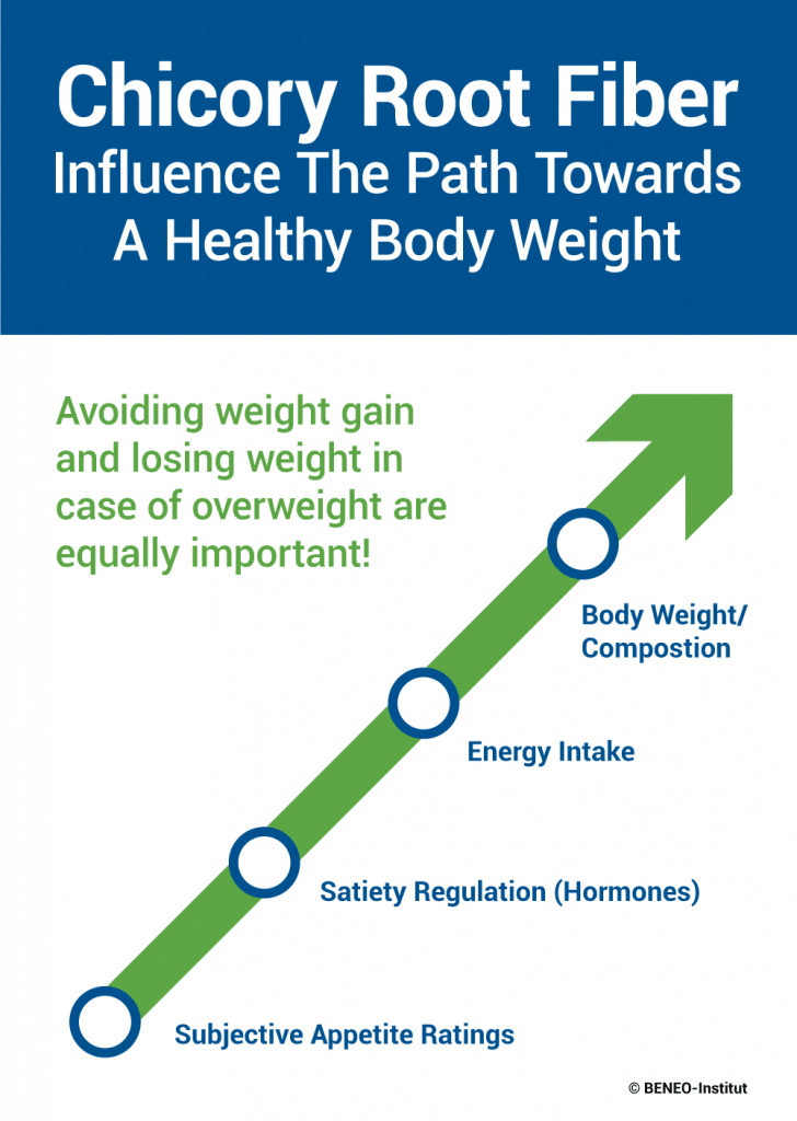 chicory-root-fiber-influence-the-path-healthy-body-weight[1]