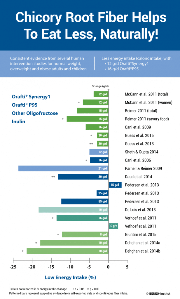 chicory-root-fibres-helps-to-eat-less[1]