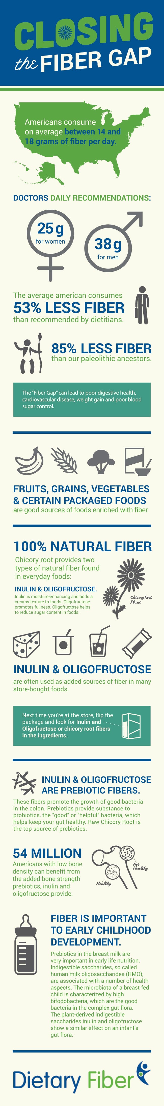 Closing the Fiber Gap Infographic